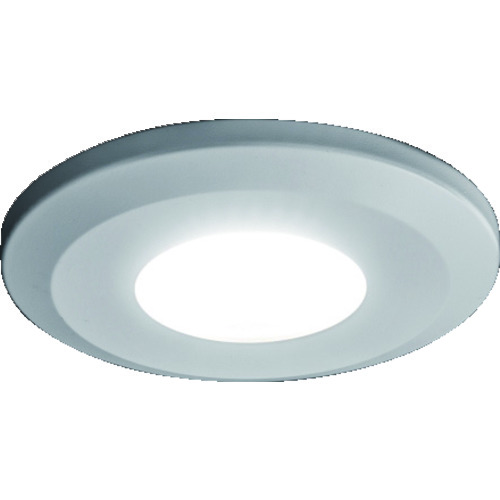 SL-RS2-100 LEDスリムライト 丸形面付タイプ