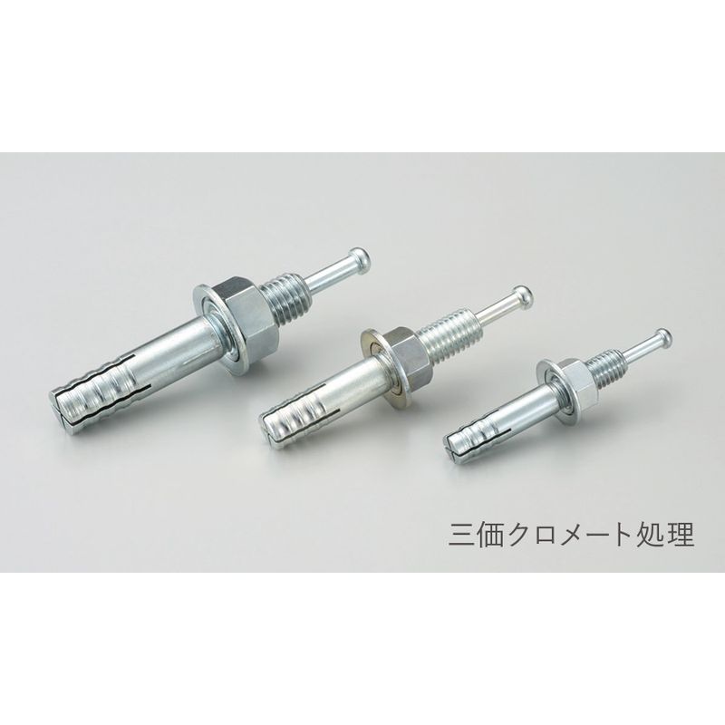C ルーティアンカー Cタイプ(三価クロメート)