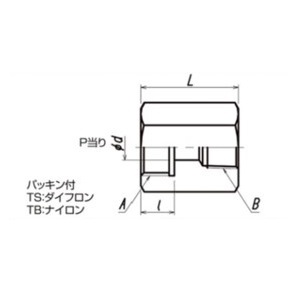 ヤマト産業 TS60 メスXメス継手 SUS製 W22-14(右)(P)xRc3/8