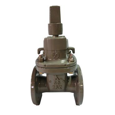 MS-C2/MS-C3-10K 水道用ソフトシール仕切弁 C-タイトバルブ 10Kフランジ形