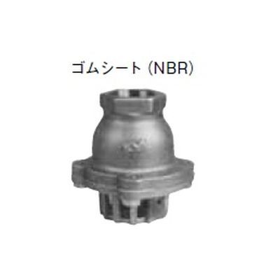 N-210 10K S式フートバルブ