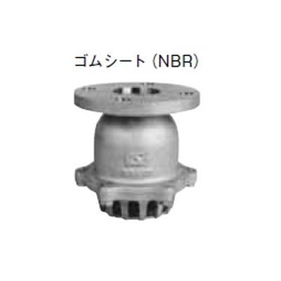 N-215 10KF式フートバルブ SCS13
