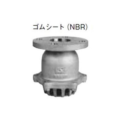 N-215 10KF式フートバルブ SCS14