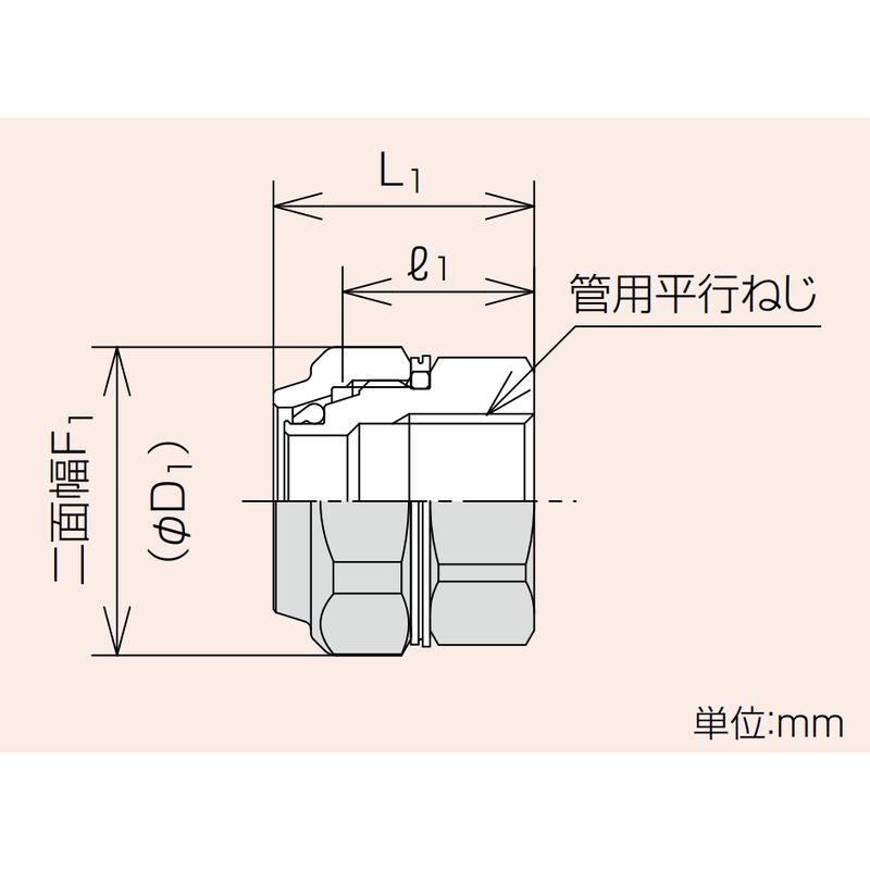 ZLWS Zlok 水栓ソケット ステンレス配管用メカニカル継手 - 画像2