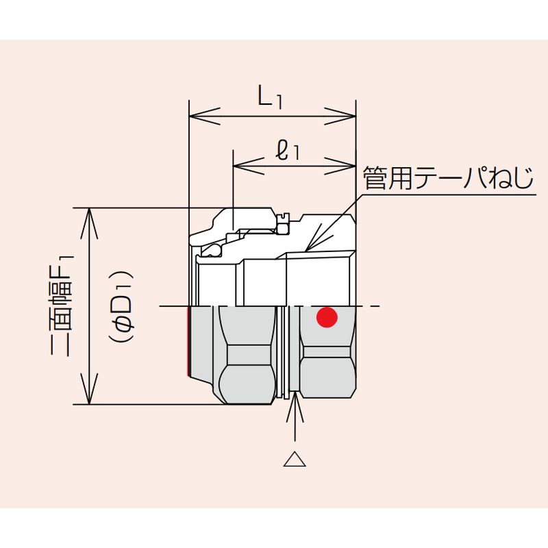 Zlok メスアダプター ZLFSSR ステンレス配管用メカニカル継手 (蒸気還管､高温水用) - 画像2