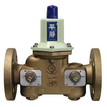 RDB33FN-F□ 平静 バイパス付減圧弁(水･温水用)