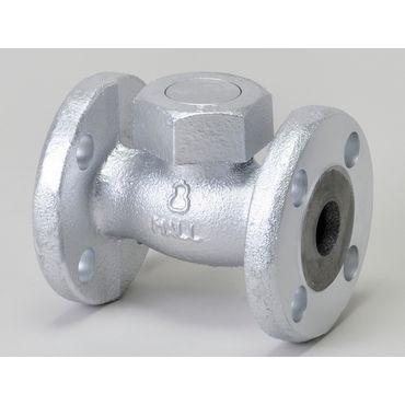 M300FCD マレブルジスク入リフト逆止弁(フランジ･PTFE)
