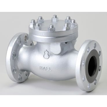 M300FCSD マレブルジスク入スイング逆止弁(フランジ･PTFE)