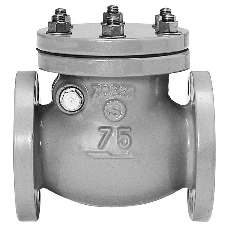 清水工業 SCV7.5N 7.5Kスイング逆止弁 要部SUS304