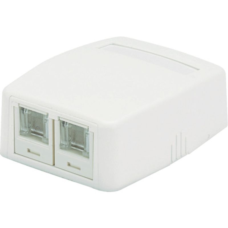 パンドウィット JOQ2H6A00 CAT6Aスプリングシャッター付きローゼットキット 2個口 白