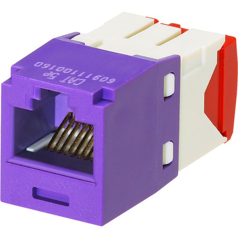 パンドウィット CJ5E88TGVL カテゴリ5E RJ45モジュラージャック UTP TGタイプ 紫