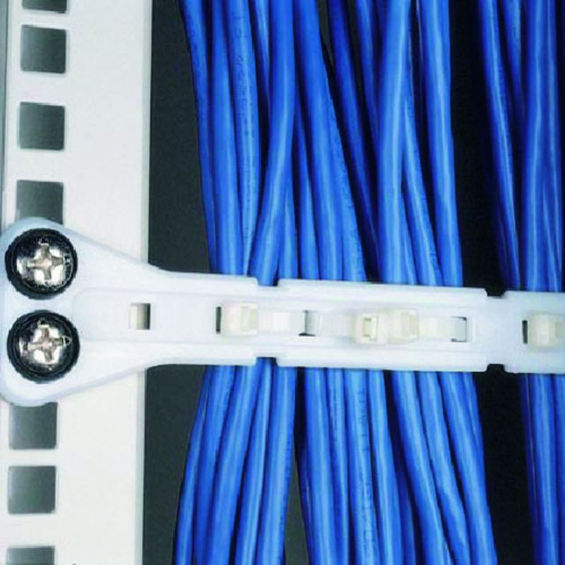 パンドウィット PPF2SV-S25-V 水平型ケーブル固定具 ナチュラル 5個入